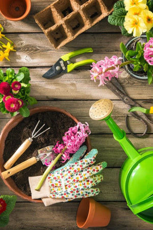 Home and Garden